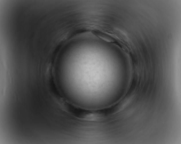 X0000093100364200710031834
