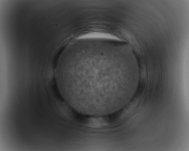 X0000093100367200710031834