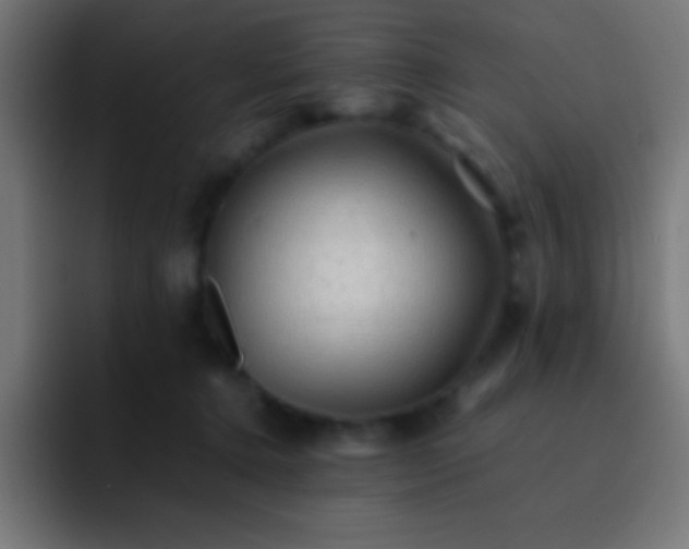 X0000093100368200710031834