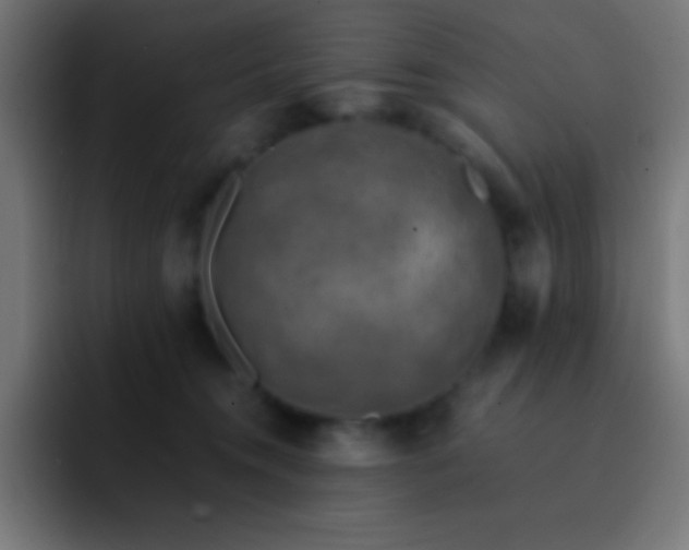 X0000093100372200710031834