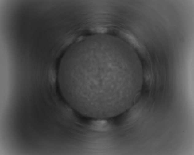 X0000093100374200710031834