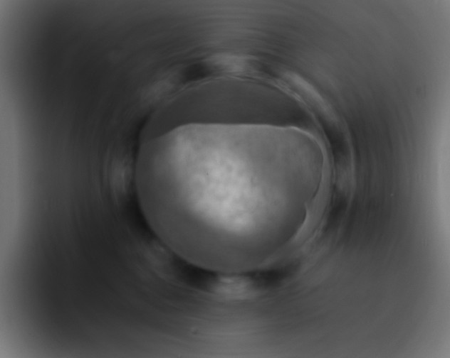 X0000093100376200710031834