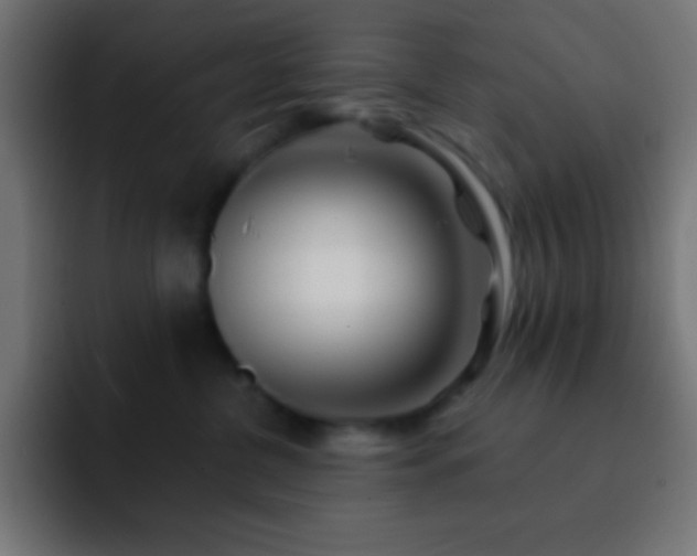 X0000093100380200710031834