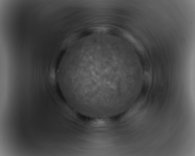 X0000093100381200710031834