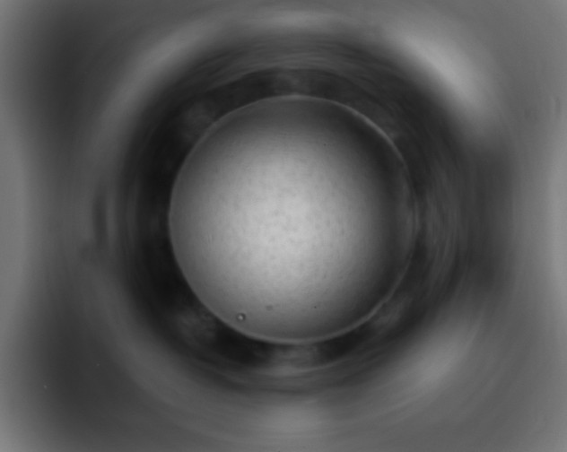 X0000093100382200710031834