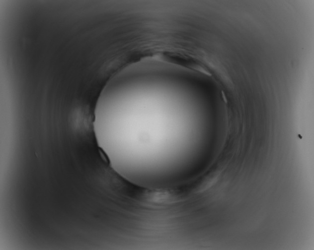 X0000093100384200710031834