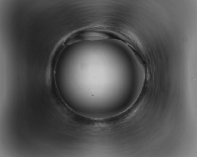 X0000093100388200710031833