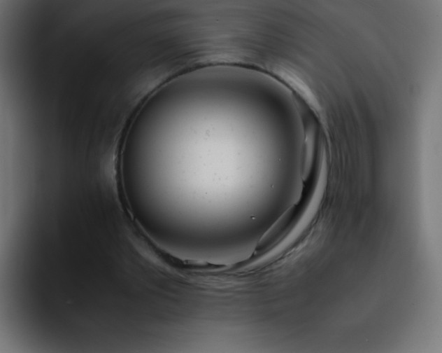 X0000093100389200710031833