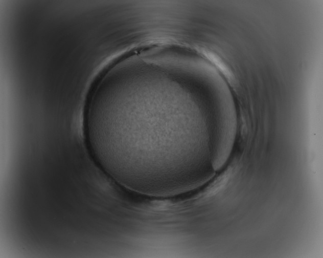 X0000093100391200710031833