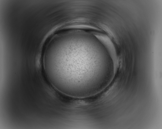X0000093100392200710031833
