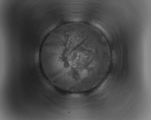 X0000093100394200710031833