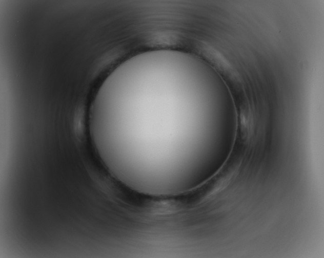 X0000093100396200710031833
