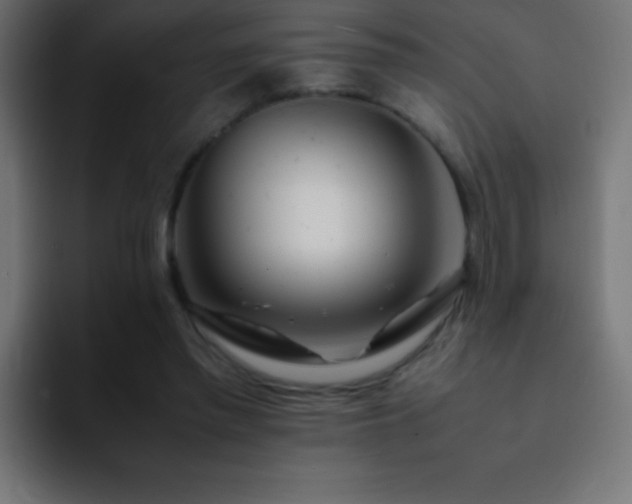 X0000093100397200710031833
