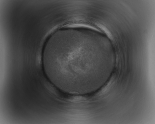 X0000093100399200710031833