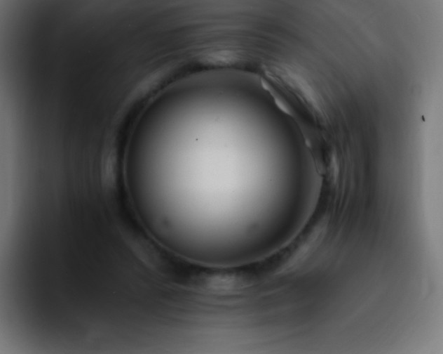 X0000093100400200710031833