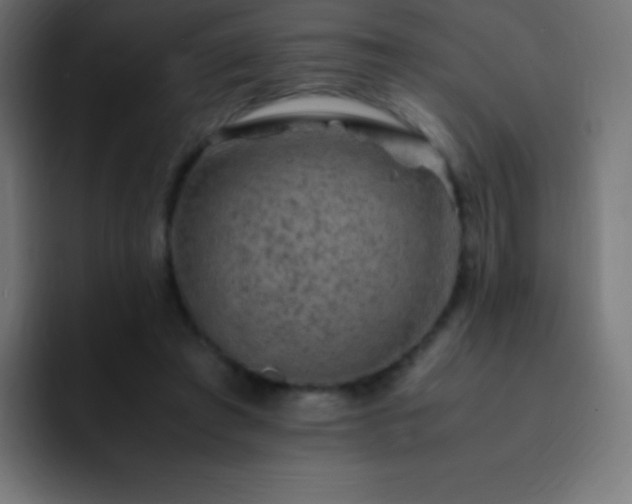X0000093100401200710031833