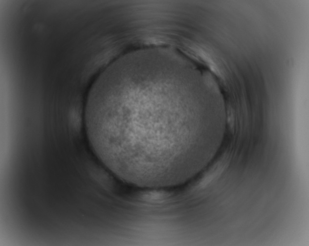 X0000093100402200710031833
