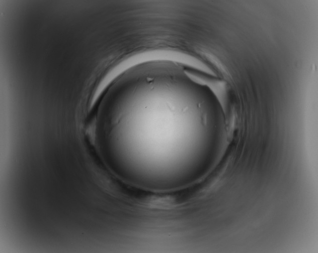 X0000093100403200710031833
