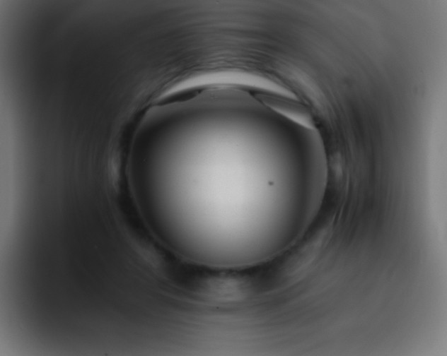 X0000093100404200710031833