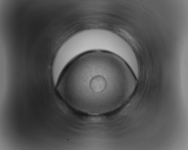 X0000093100405200710031833