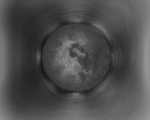 X0000093100406200710031833