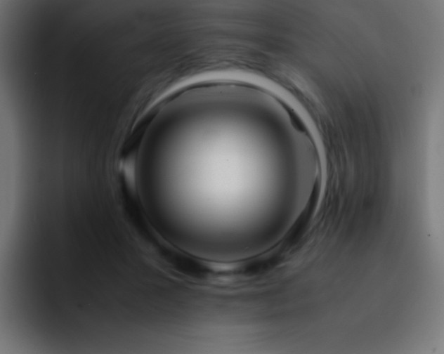 X0000093100407200710031833