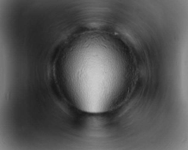 X0000093100408200710031833