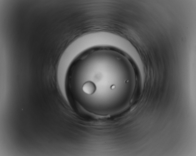 X0000093100412200710031833