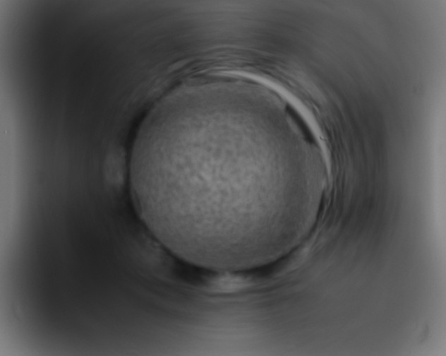 X0000093100413200710031833
