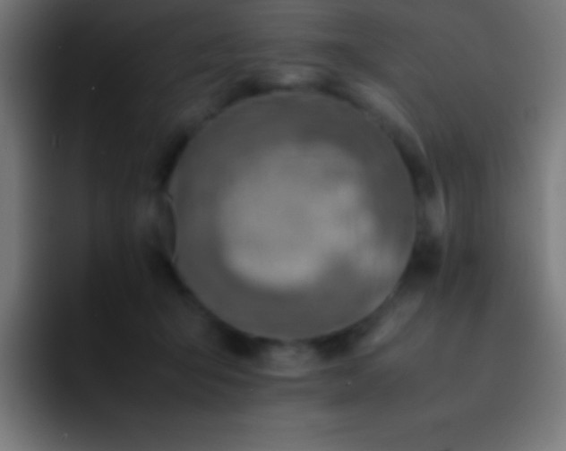 X0000093100415200710031833