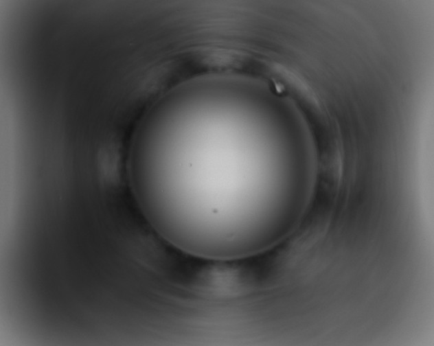 X0000093100416200710031833