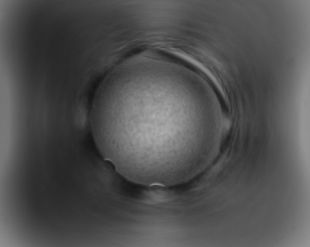 X0000093100417200710031833