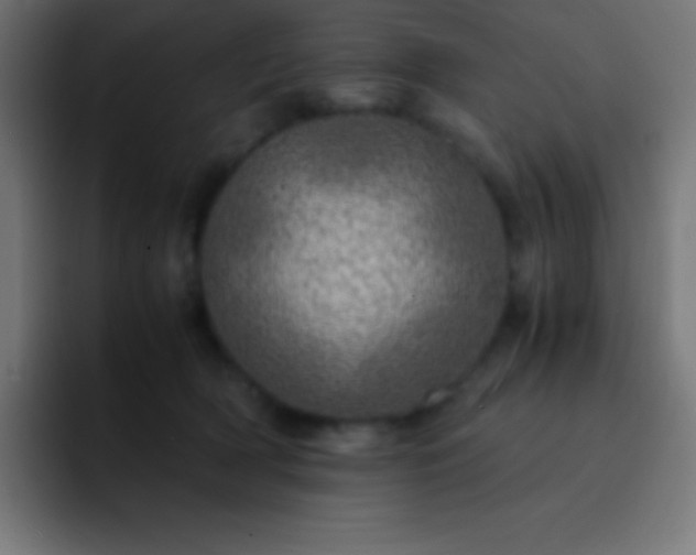 X0000093100418200710031833