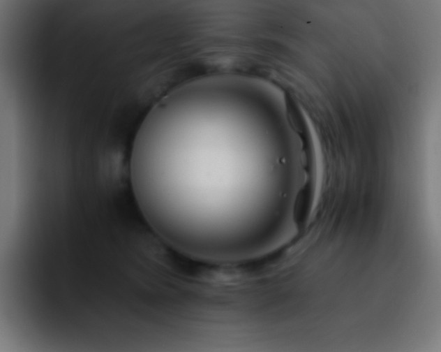 X0000093100420200710031833
