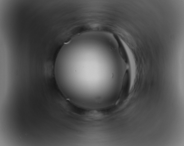 X0000093100421200710031833