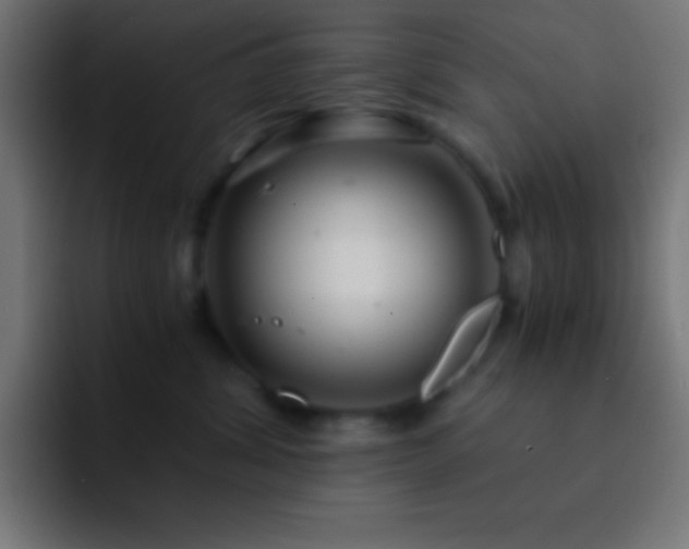 X0000093100428200710031833