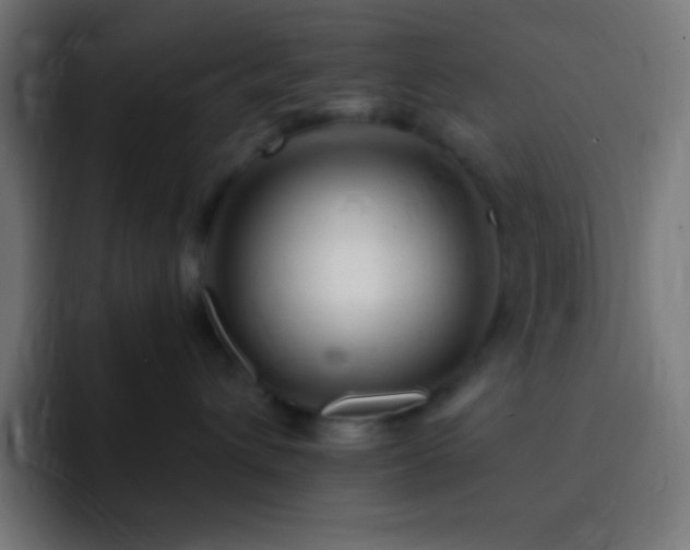 X0000093100432200710031833