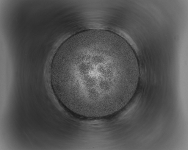 X0000093100433200710031832