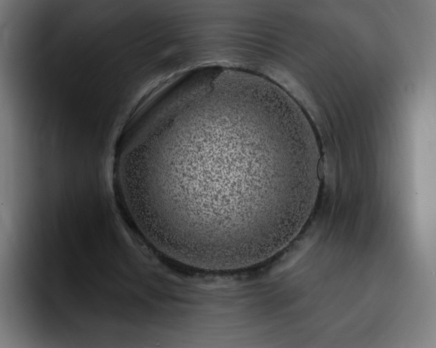 X0000093100434200710031832