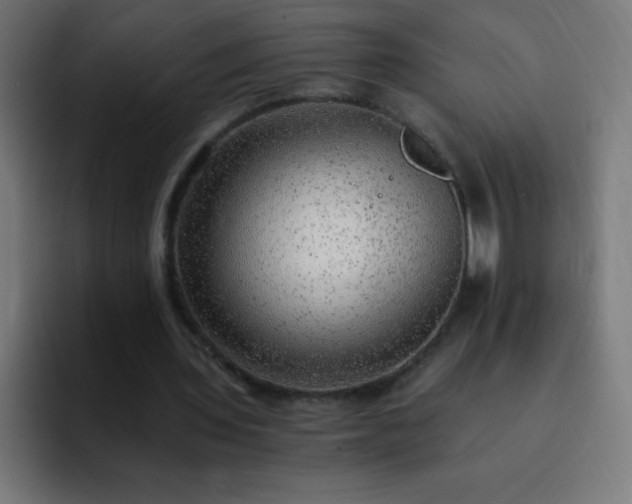 X0000093100435200710031832