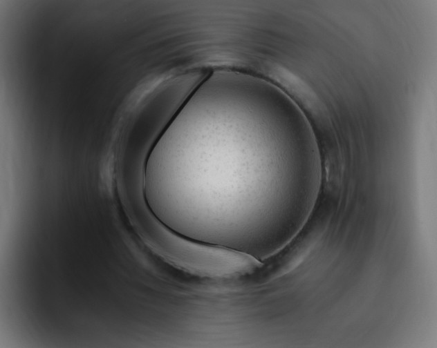 X0000093100436200710031832