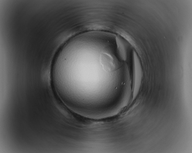 X0000093100438200710031832