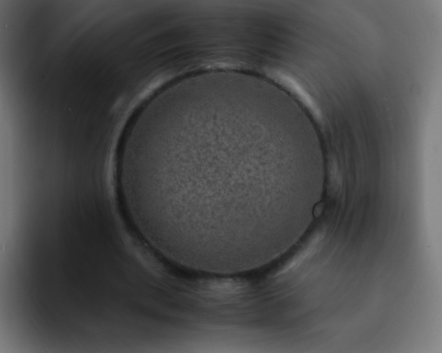 X0000093100439200710031832