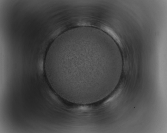 X0000093100441200710031832