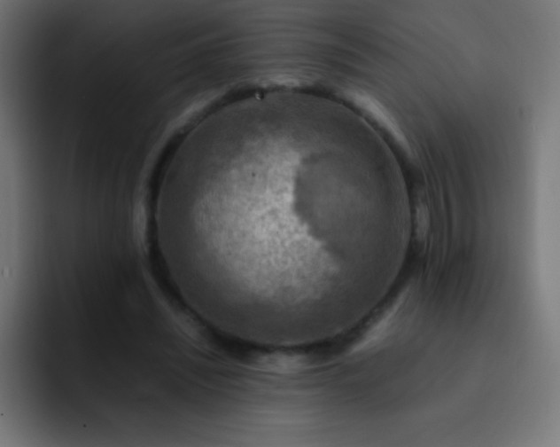 X0000093100444200710031833
