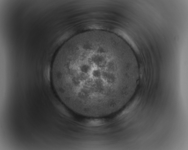 X0000093100445200710031833