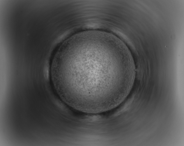 X0000093100446200710031833