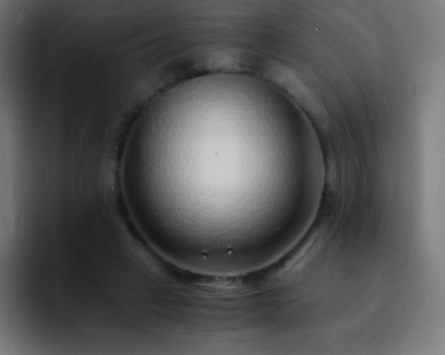 X0000093100449200710031833
