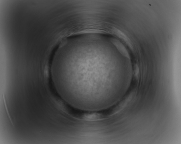 X0000093100452200710031833