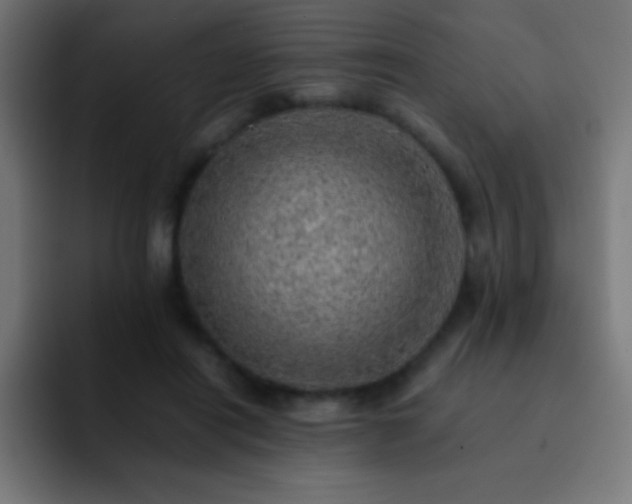 X0000093100454200710031833